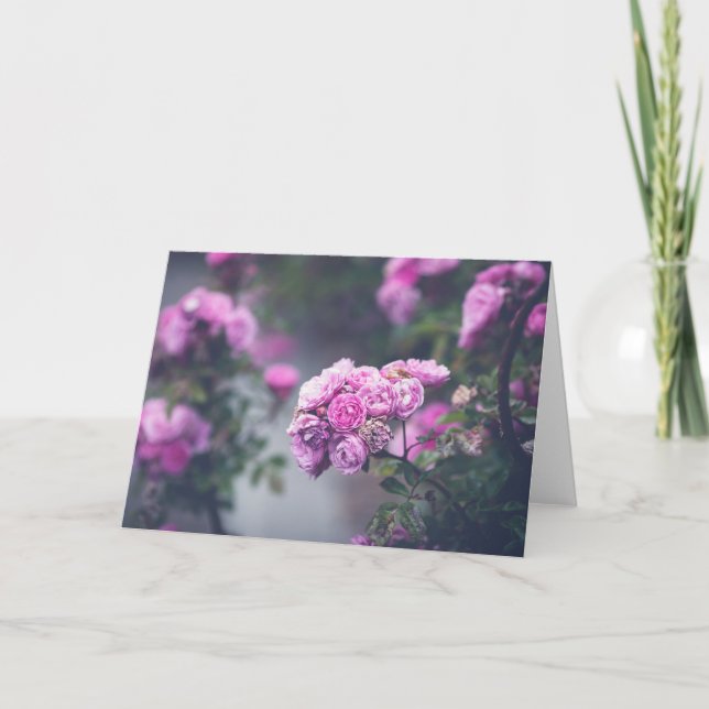 Carte Roses de choux (Devant)