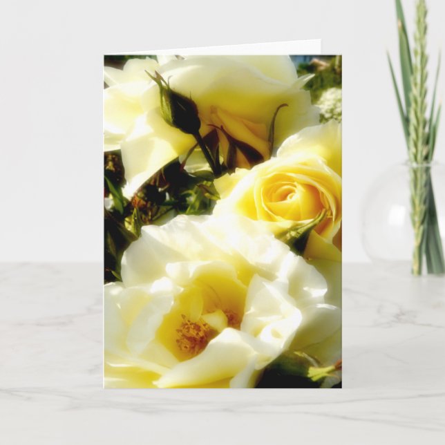 Carte Roses jaunes Dreamy AH2010 (Devant)