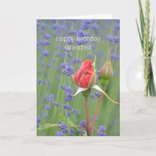 Carte Roses Lavande Floral (ma photographie) Anniversair