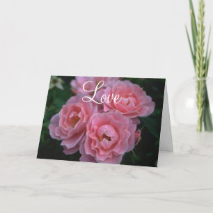 Carte Roses Roses