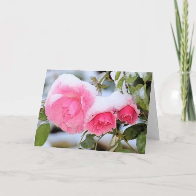 Carte Roses roses roses enneigées (Devant)