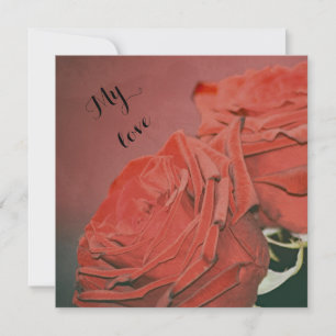 Carte Roses rouges comme velours