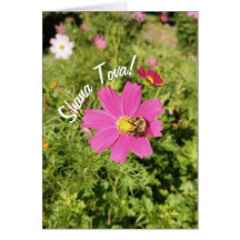 Carte Rosh Hashanah Vivid Rose Cosmos