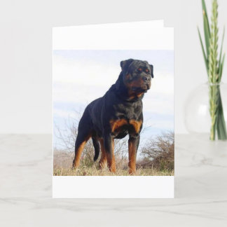 Carte Rottweiler