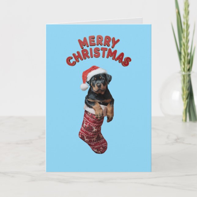 Carte Rottweiler Noël Stocking. (Devant)