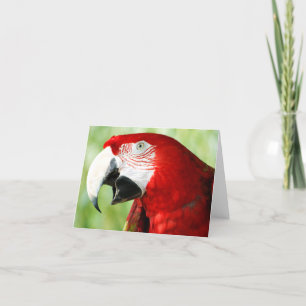Carte Rouge brillant