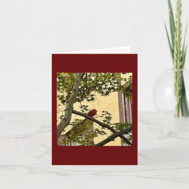 Carte rouge cardinal (Devant)