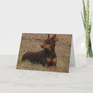 Carte Rouge et dobermann de rouille