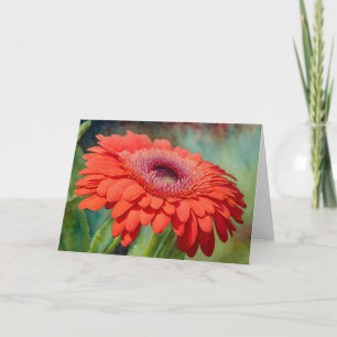 Carte rouge Gerbera Daisy Art