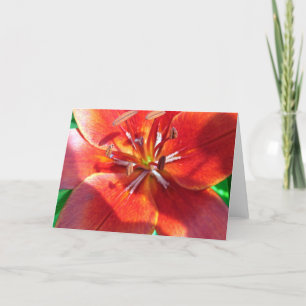 Carte Rouge Lily