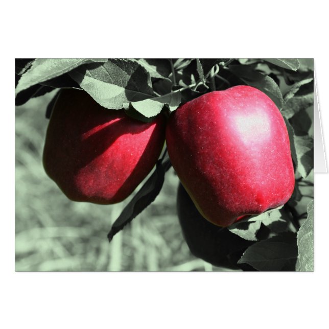 Carte Rouge Pommes Noir Et Blanc (Devant Horizontal)