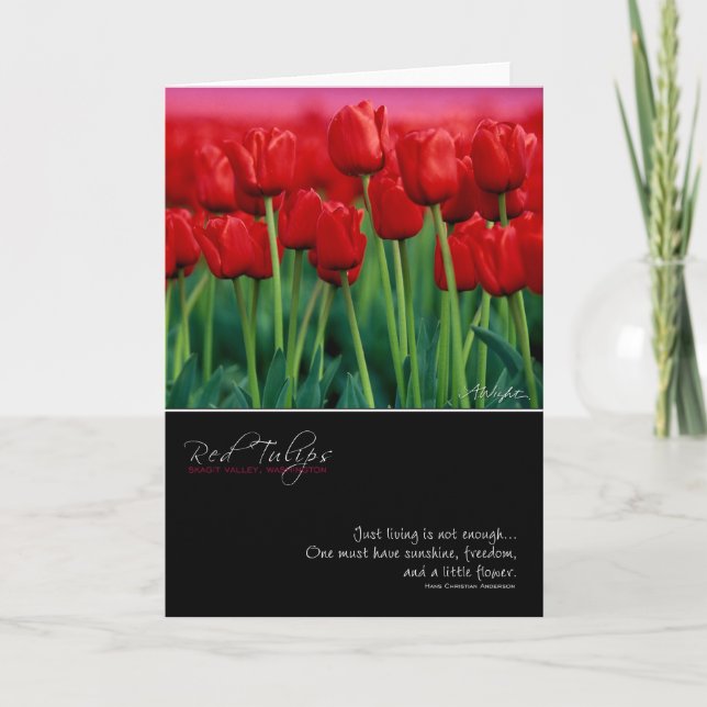 Carte rouge Tulip avec devis (Devant)