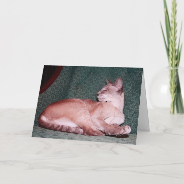 Carte royale d'anniversaire de chat (Devant)