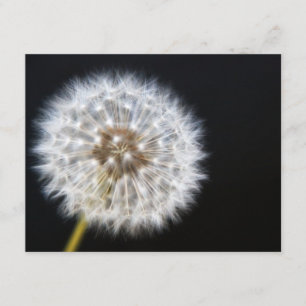 Carte RSVP de mariage Dandelion