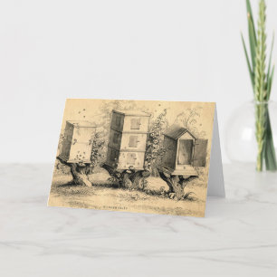 Carte ruche apicole vintage