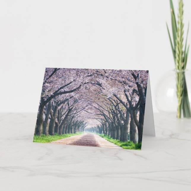 Carte Ruelle de fleurs de cerisier (Devant)