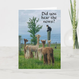 Carte RUMOR EST QUE **65e ANNIVERSAIRE** PAS SI MAUVAIS