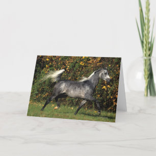 Carte Running Arabs Autumn