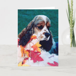 Carte Sable blanc Cocker Spaniel