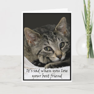 Carte Sad cat présente ses condoléances pour la perte d'