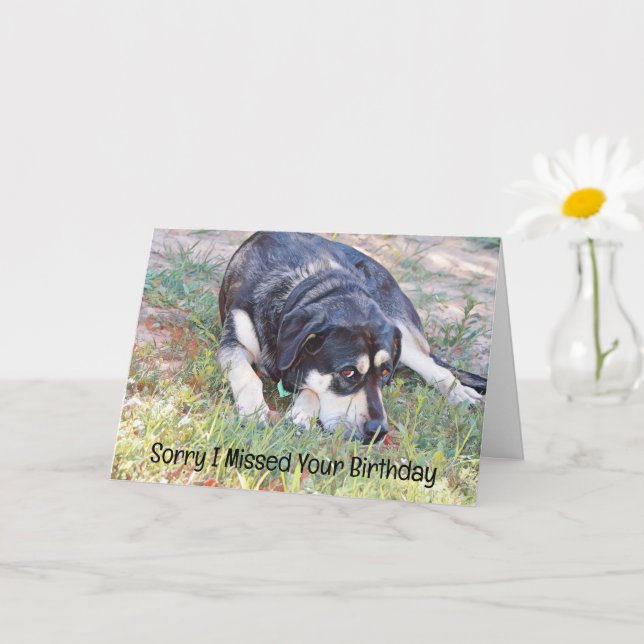 Carte Sad Dog Missed Birthday Belated Birthday Card (Petite plante)