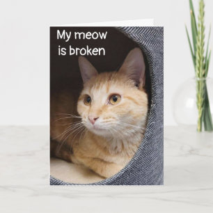 CARTE SAD KITTEN DIT *JOLI ANNIVERSAIRE* MAIS PAS EN PER