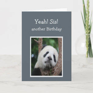 Carte Sad Panda Bear Joyeux Humour Soeur d'anniversaire