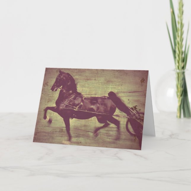 Carte Saddlebred Song (Devant)