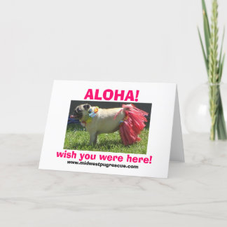 Carte Sadie May hula girl, ALOHA !, j'aimerais que vous