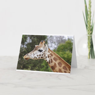 Carte Safari Afrique Mod Chic Classy Destiny Giraffe