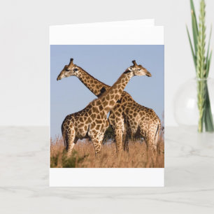 Carte Safari Afrique Mod Chic Classy Destiny Giraffe