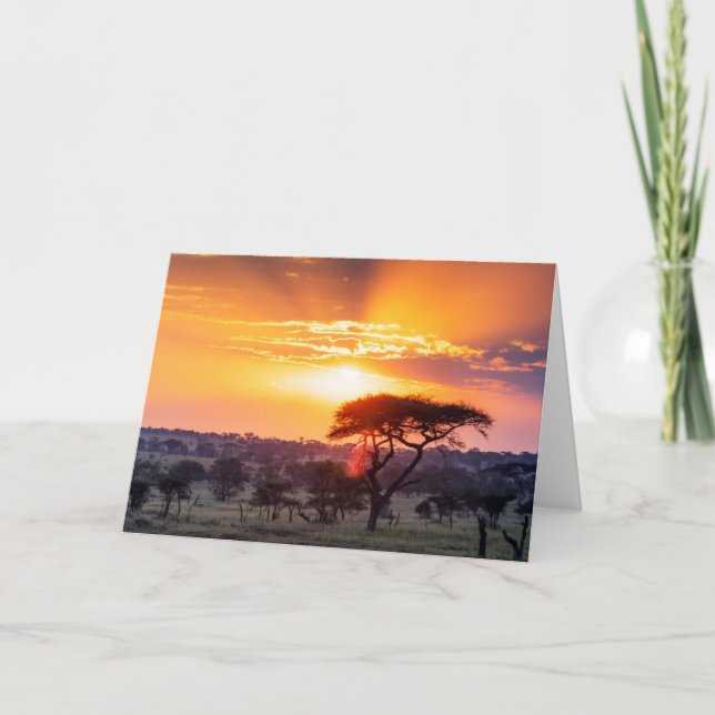 Carte Safari dans le Parc National du Serengeti (Devant)