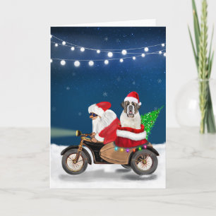 Carte Saint Bernard Chien Noël Père Noël