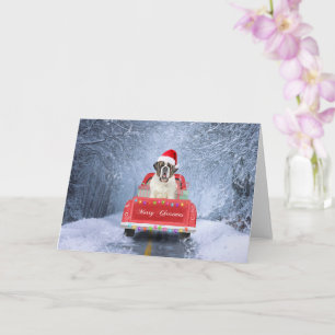Carte Saint Bernard Dog en Neige assis Camion de Noël