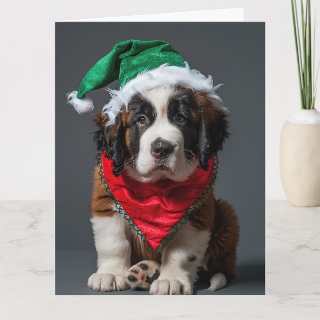 Carte Saint Bernard Elf Puppy Christmas (Devant)