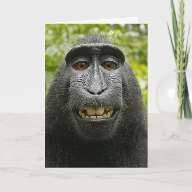 Carte Saint-Valentin au singe Macaque (Devant)