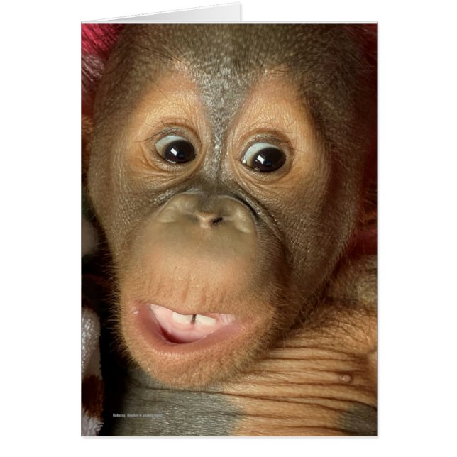 Carte Saint Valentin avec Baby Orangutan (Devant)
