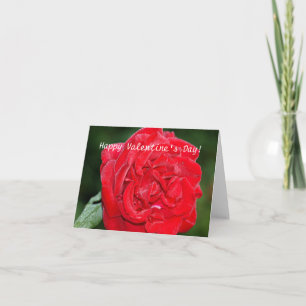 Carte Saint Valentin avec Rose rouge