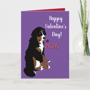 Carte Saint Valentin Bernese Mountain Dog
