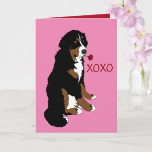 Carte Saint Valentin Bernese Mountain Dog