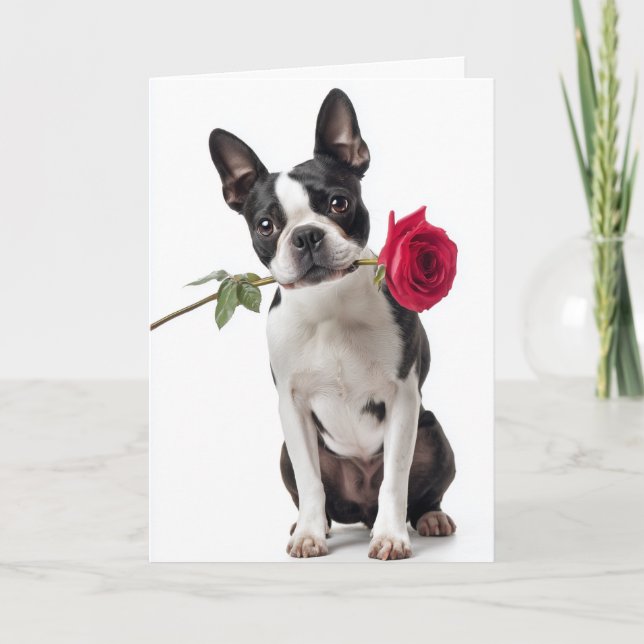 Carte Saint-Valentin Boston Terrier – Amour Élégant (Devant)