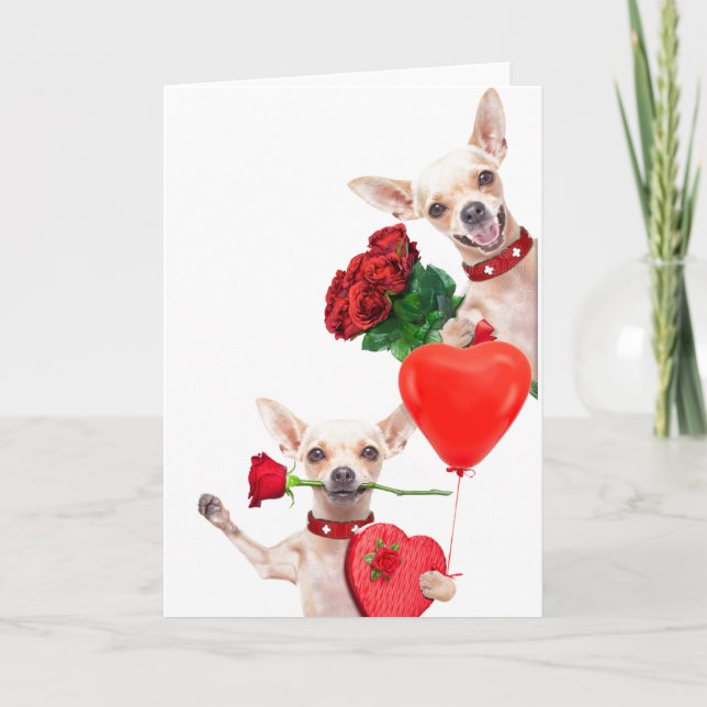 Carte Saint-Valentin Chihuahuas mignons drôles avec des  (Devant)