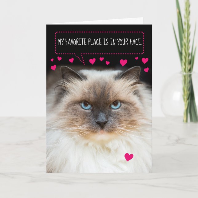 Carte Saint Valentin Cute Chat et Coeurs Siamais (Devant)