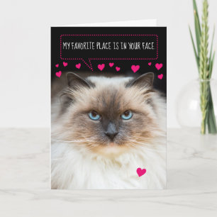 Carte Saint Valentin Cute Chat et Coeurs Siamais