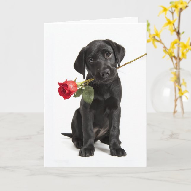Carte Saint-Valentin Lab noir (Fleur jaune)