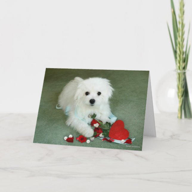 Carte Saint Valentin maltaise Hermes (Devant)