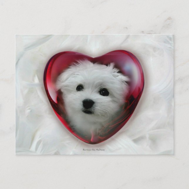 Carte Saint Valentin maltaise Hermes (Devant)