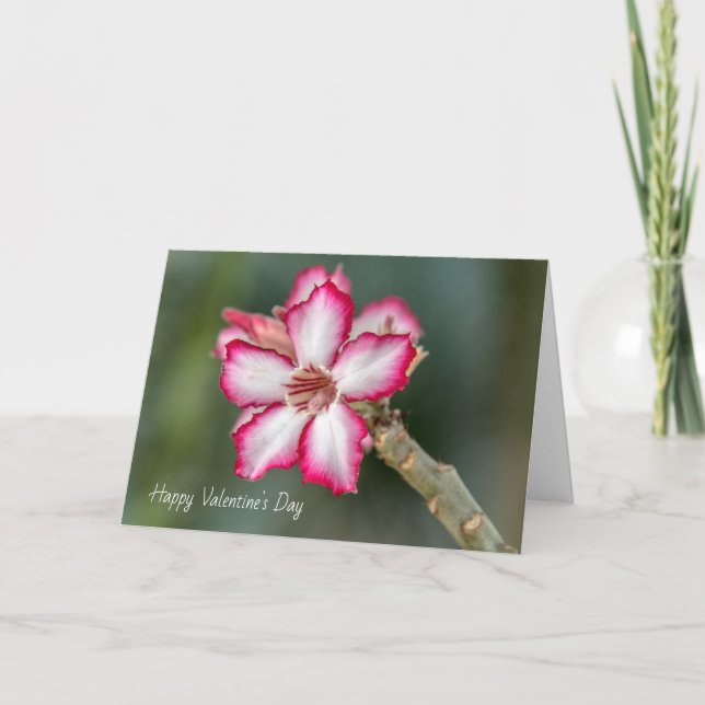 Carte Saint Valentin - Rose du désert (Devant)