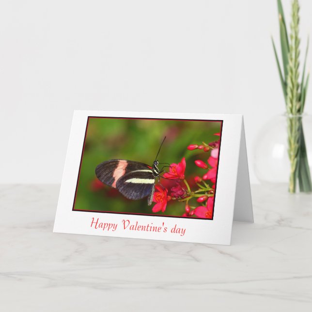 Carte Saint-Valentin Zebra Long (Devant)