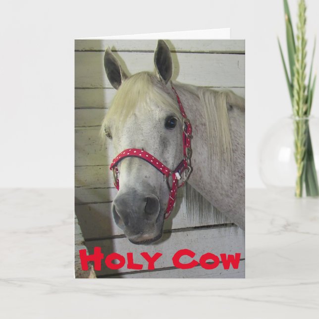 Carte SAINTE VACHE JEUNE FILLE **40e ANNIVERSAIRE** (Devant)